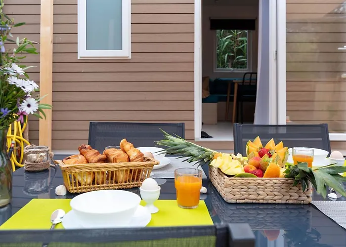 Feriehus Le Palmier, Mobil-home Sans Vis-a-vis Idealement Situe Entre Et Vignes Hyères