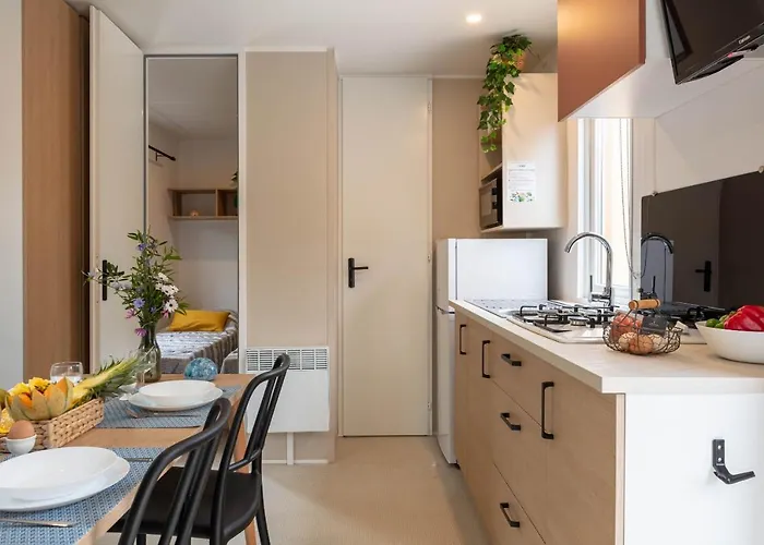 Holiday home Le Palmier, Mobil-home Sans Vis-a-vis Idealement Situe Entre Et Vignes Hyeres